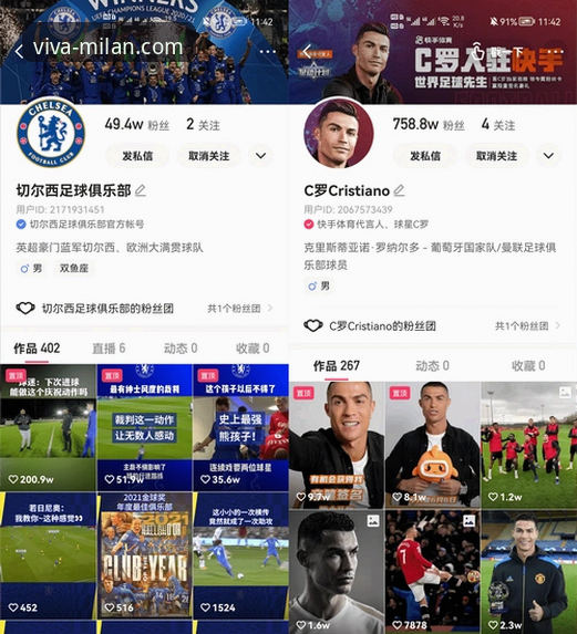 米兰体育平台官方网站登录全流程深度分析与实用指南